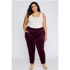 Torrid Velvet Jogger Pants in Rich Burgundy